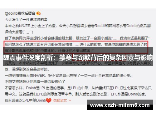 魏震事件深度剖析：禁赛与罚款背后的复杂因素与影响